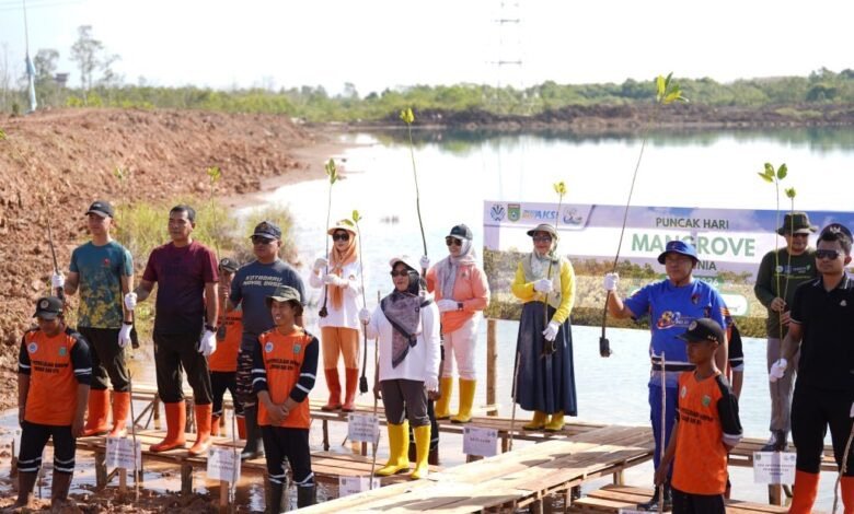 Peringati Hari Mangrove Sedunia 2026, Pemkab Tanah Bumbu Gelar Aksi Penanaman Mangrove